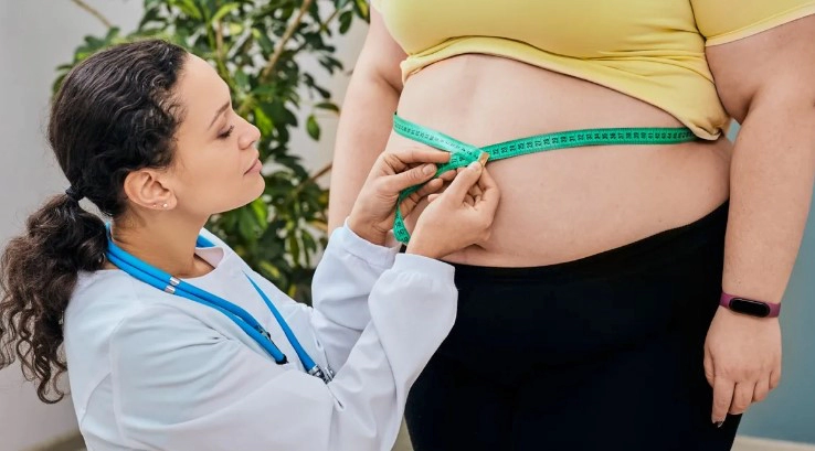 내장지방 레벨 수치