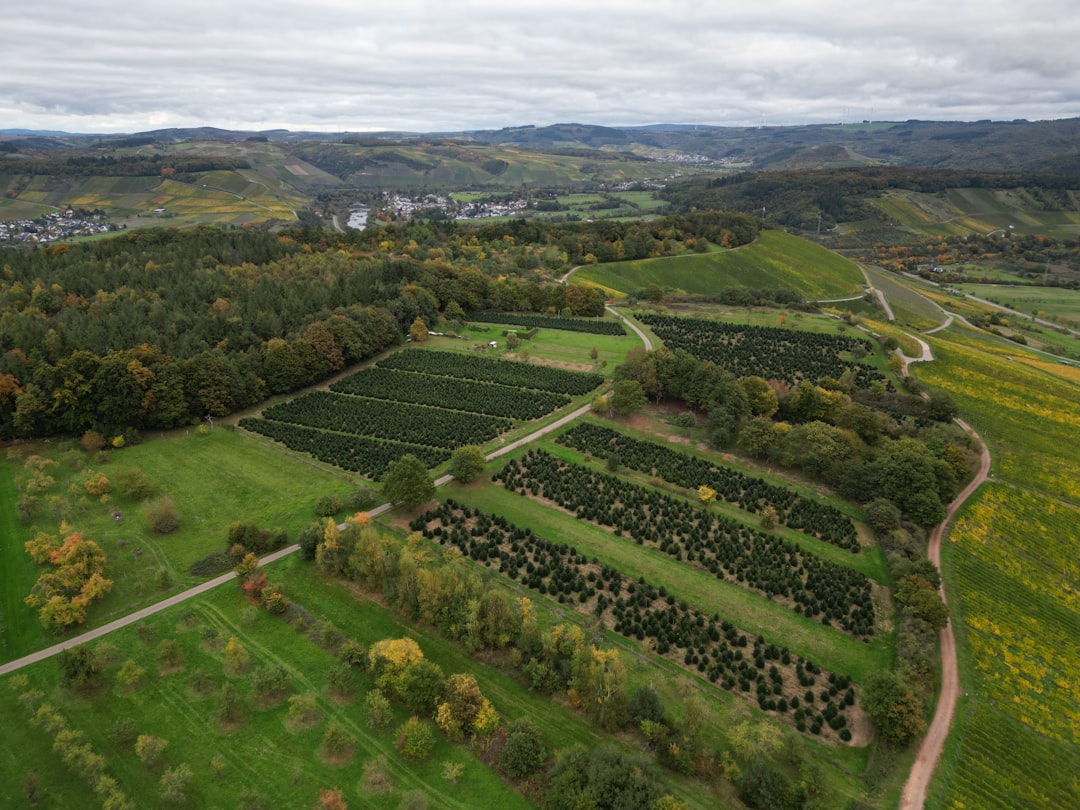 Land Use