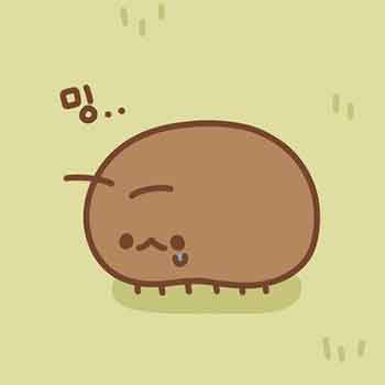 바퀴벌레 꿈풀이