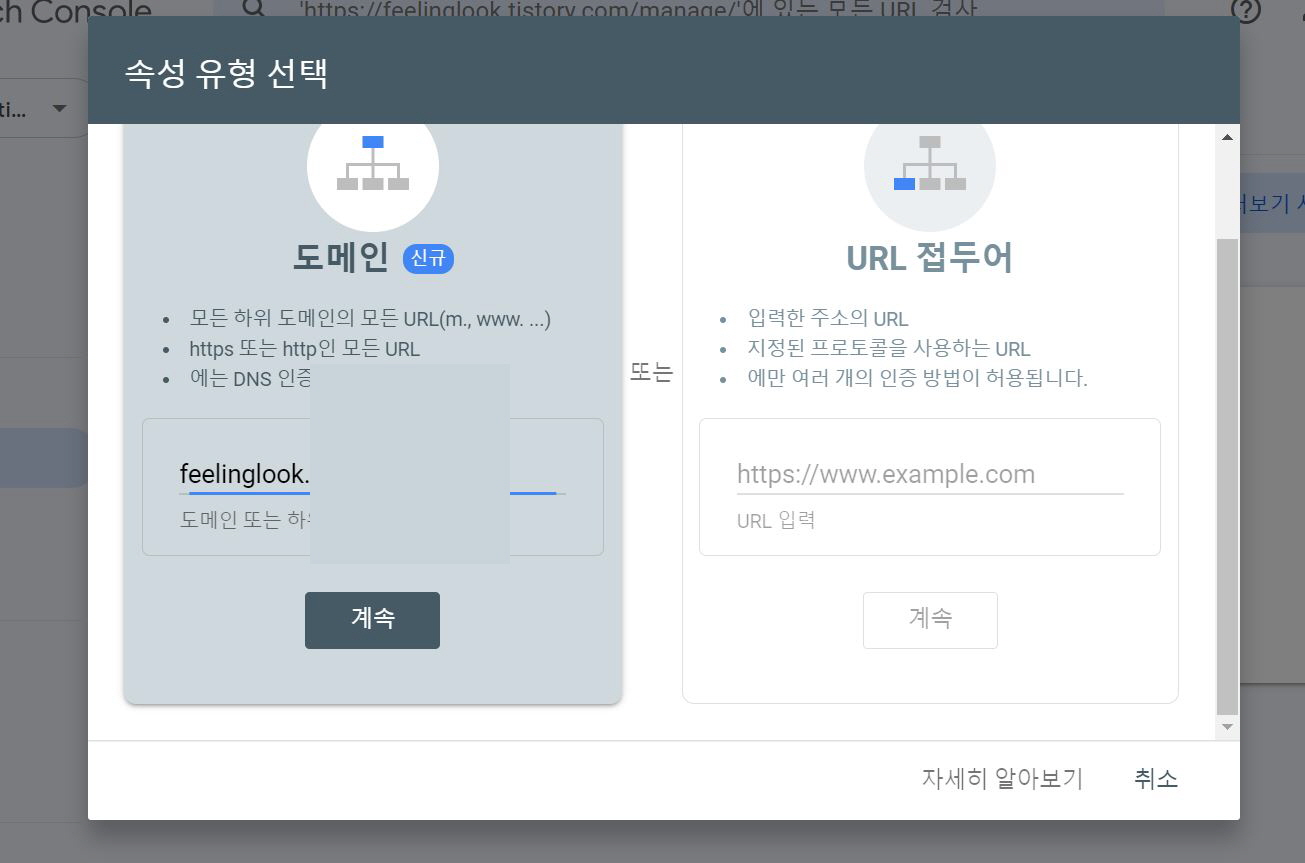 도메인 신규