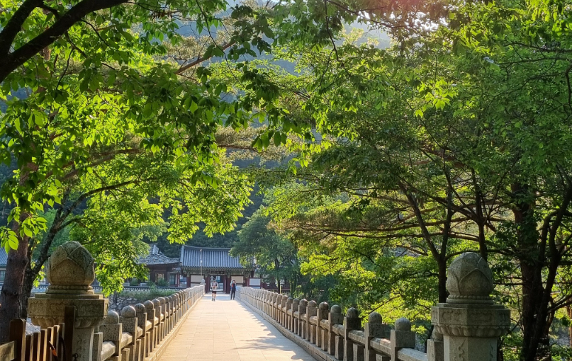인제 백담사