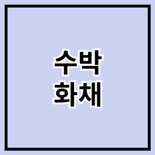 🍉 여름을 제대로 즐기는 방법! 시원~한 수박화채 만들기 레시피 🧊🥄