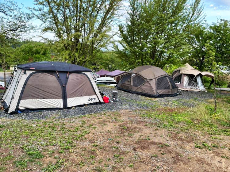 파주 느티나무그늘아래 캠핑장 소개