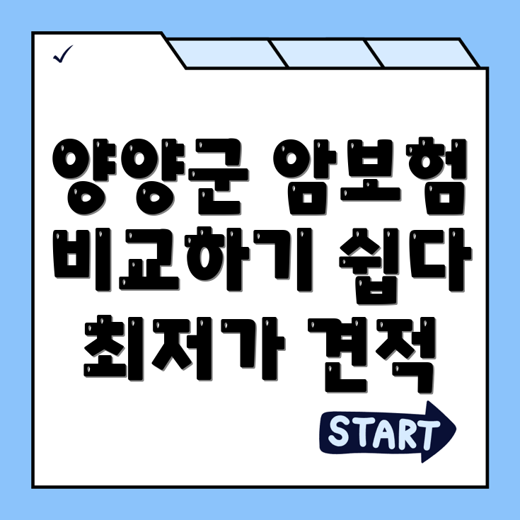 암보험 비교