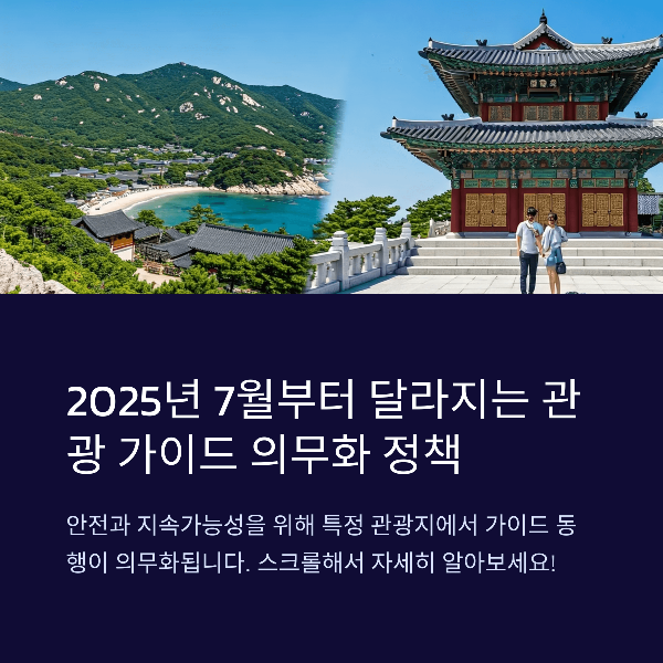 2025년 7월부터 달라지는 관광 가이드 의무화 정책 공유하기