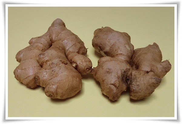 "10월 하순, 생강 수확 하세요!" 생강의 매력과 건강 효능, 최적의 수확시기! 생강의 효능과 활용!