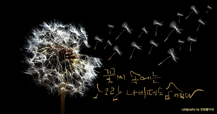 꽃씨속에는노오란나비떼도숨어있다최계락시꽃씨중에서