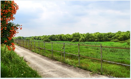 장항습지 탐조대