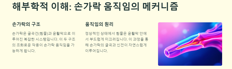 방아쇠수지증후군: 증상, 원인, 치료 및 예방법