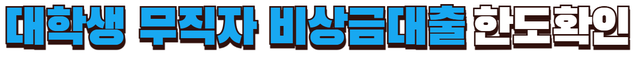 대학생 무직자 비상금대출 한도확인