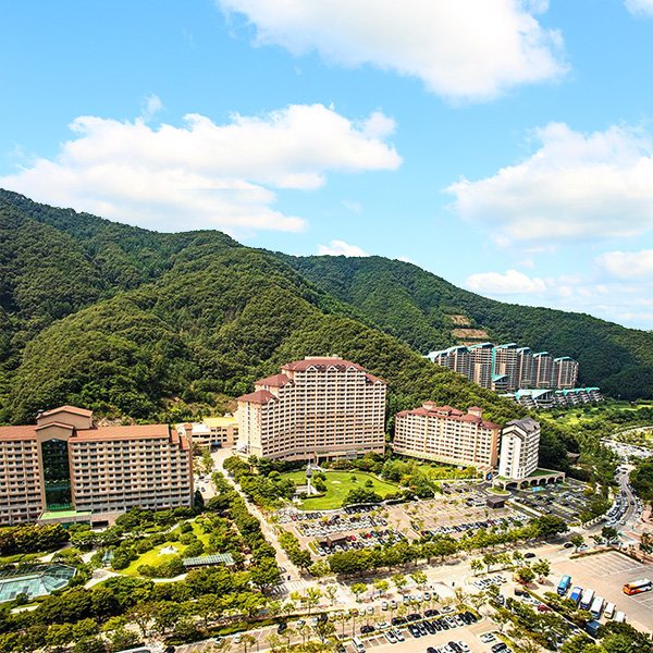 비발디파크