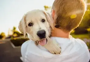 50대자격증추천