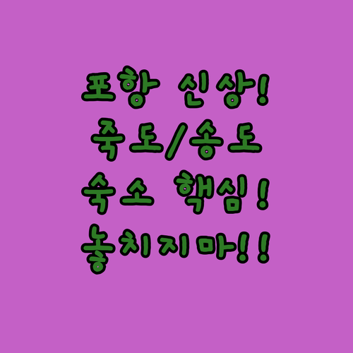 포항 호텔 비교 죽도시장 송도해수욕장..