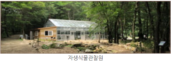 오대산 등산코스