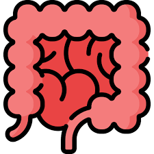 맹장의 위치과 증상