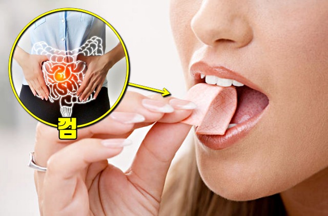 껌, 소화, 위장