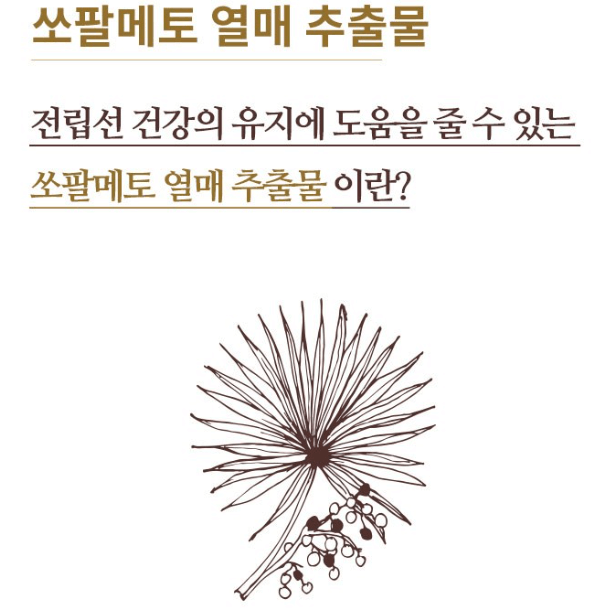 트루포뮬러 비아노스 효능 후기 (3개월 복용)