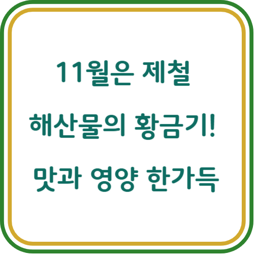 11월 제철 생선 해산물