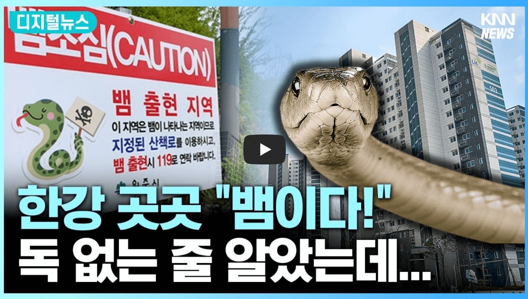 구렁이 뱀 출몰 관련 영상 섬네일