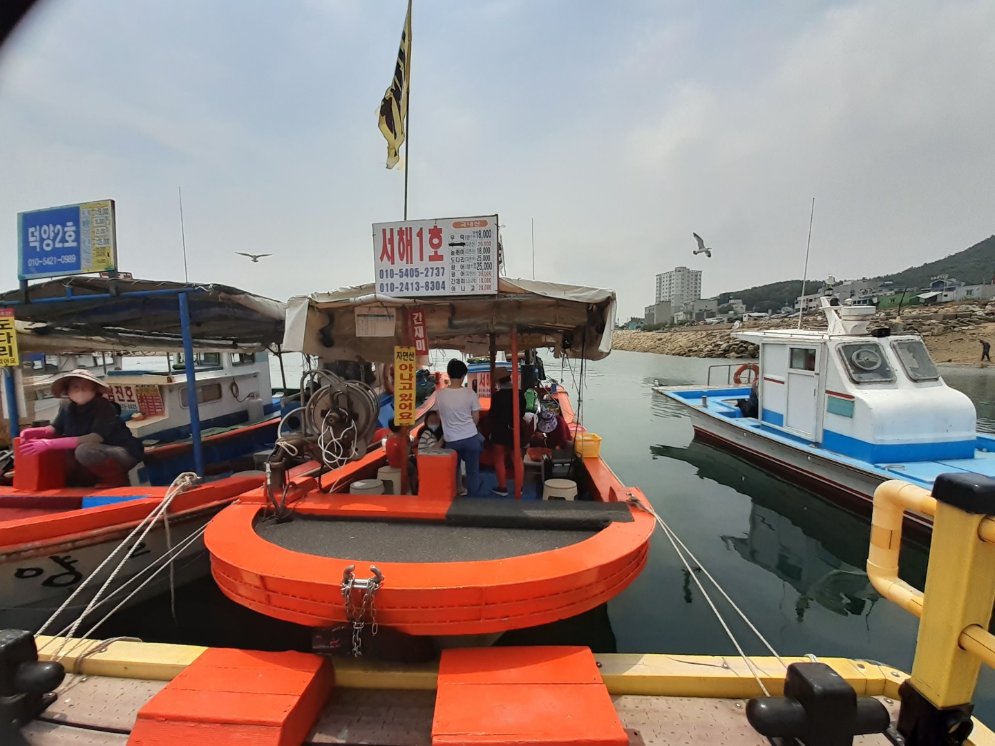 삼길포항선상횟집