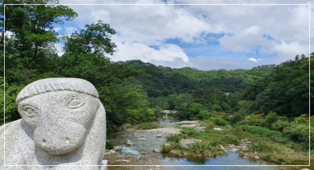 평창 가볼만한곳 베스트10 월정사 전나무숲길(오대산)