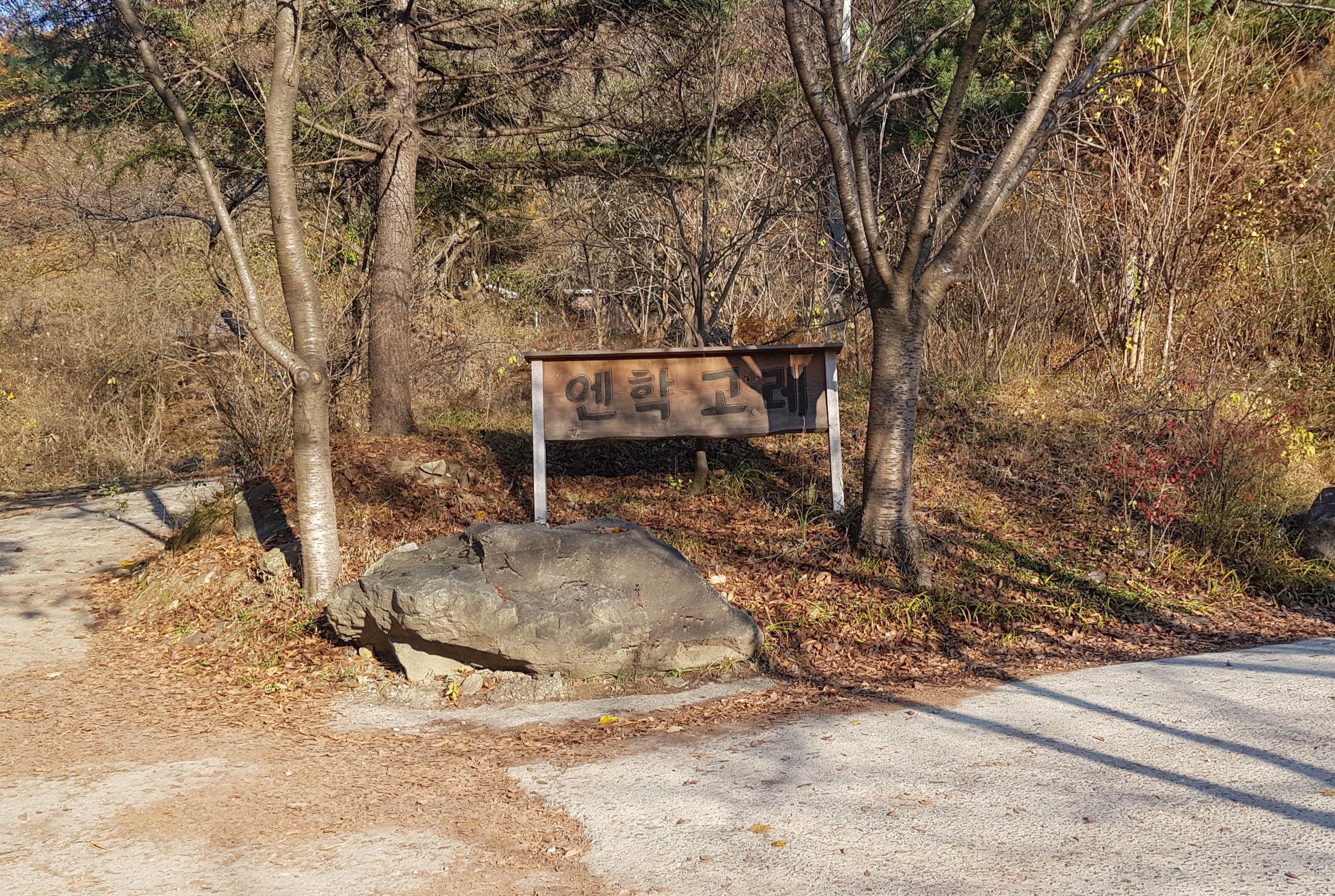 카페 엔학고레 입구