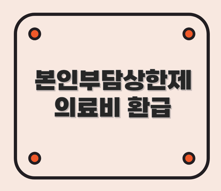 본인 부담 상한액 의료비 환급