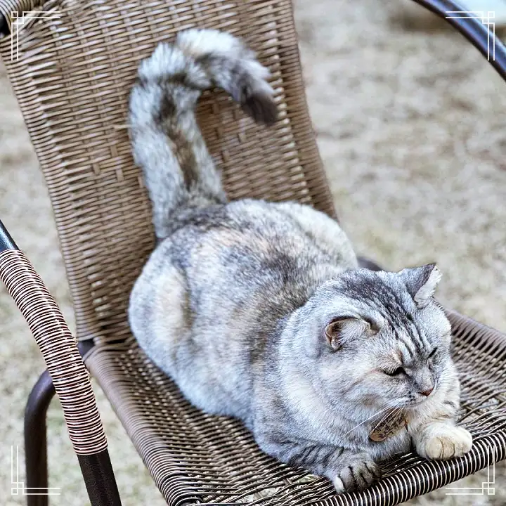 생생정보 커피 & 디저트 맛집