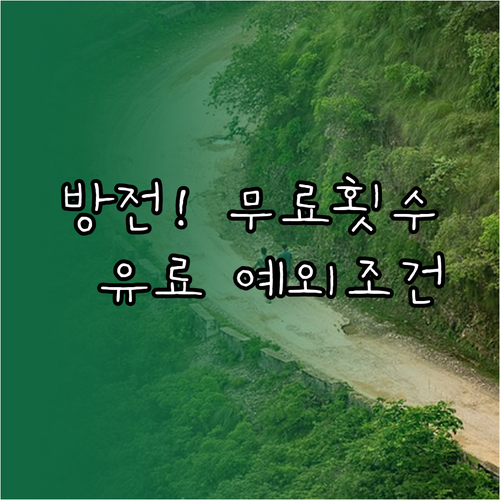 배터리 방전 긴급출동 무료 횟수 소진..