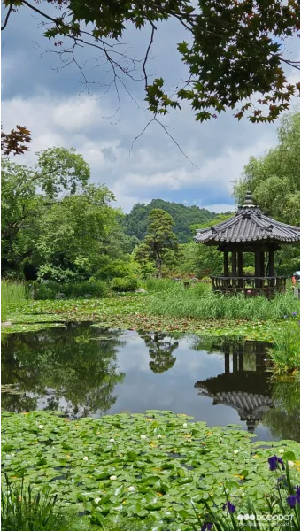 아침고요수목원 입장료 근처 맛집 펜션 추천_18