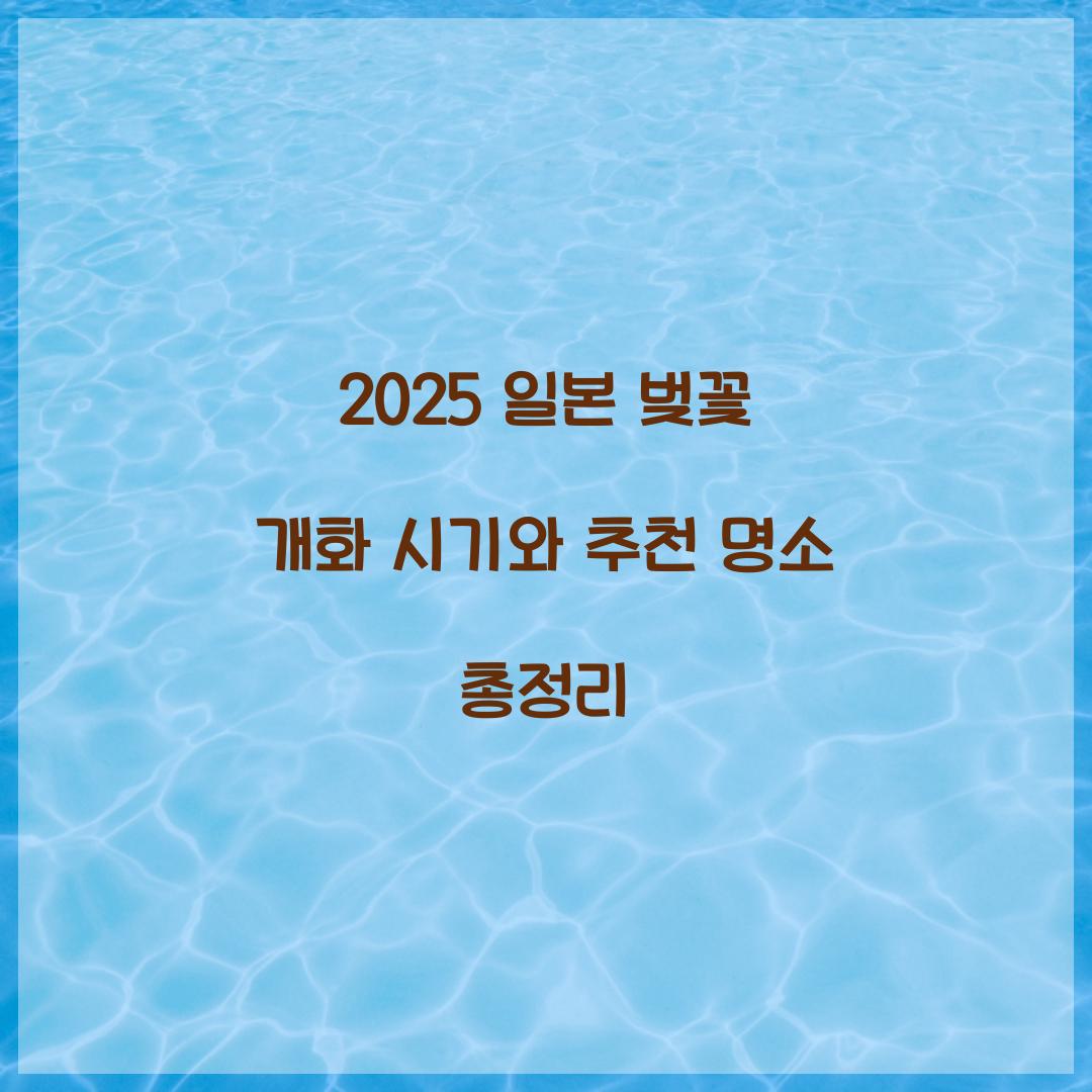 2025 일본 벚꽃
