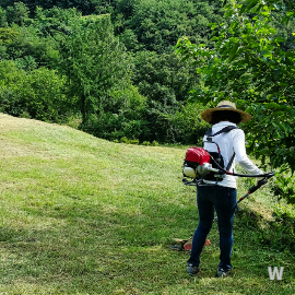 벌초 대행 서비스 사진7 