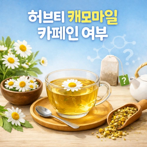 허브티 캐모마일 카페인 여부 썸네일