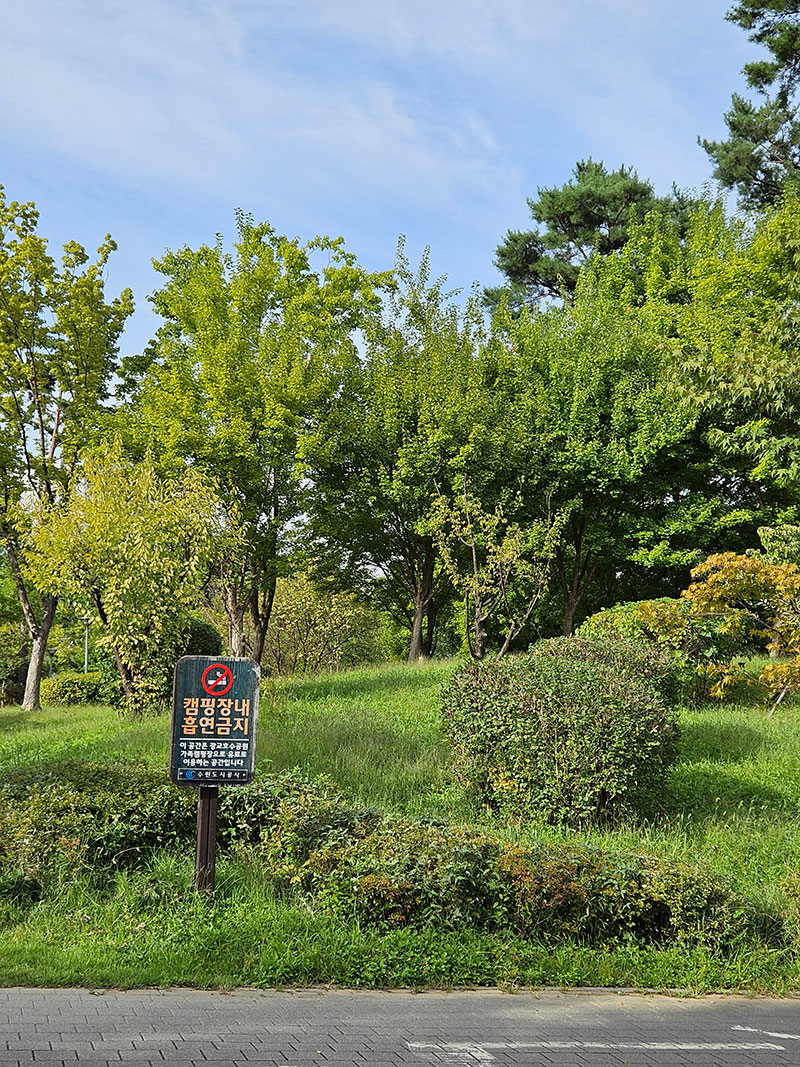 광교호수공원 가족캠핑장 전경8