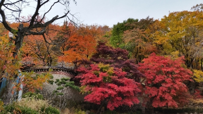 북한산 단풍