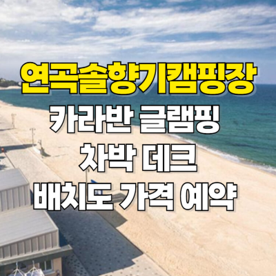 연곡 솔향기캠핑장 카라반 글램핑 차박 가격 배치도 예약 썸네일