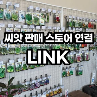 씨앗 저장법 건조 저온 밀봉 발아율 유지 교체 주기_18