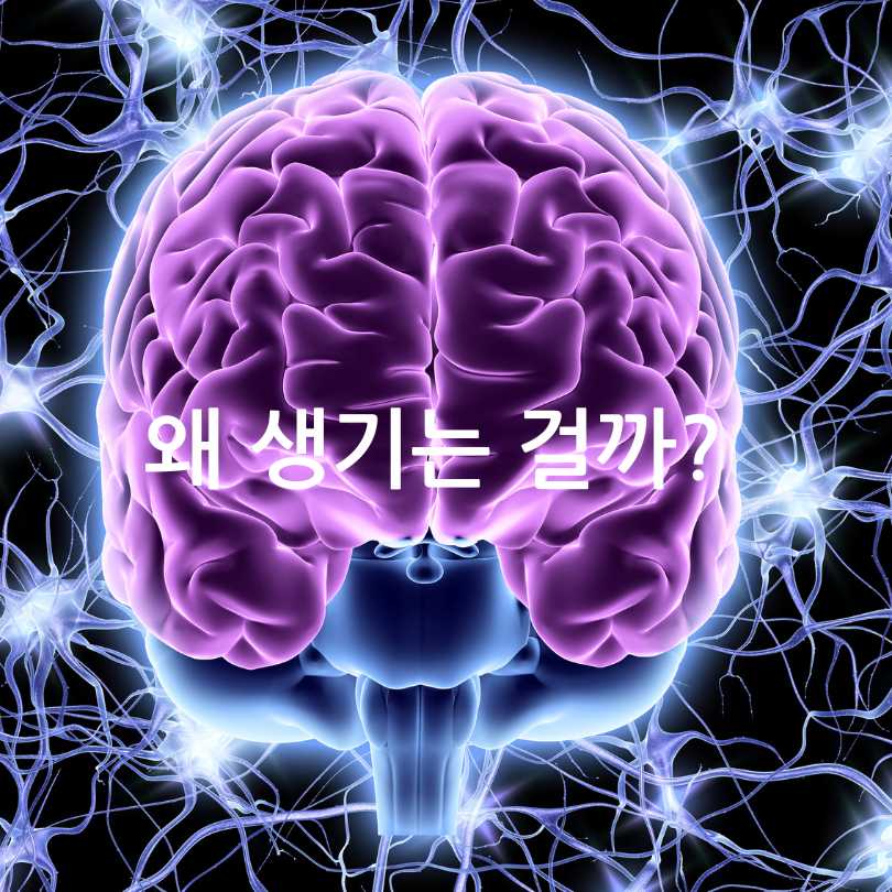 하지불안 증후군 영양제 추천