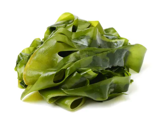 위암에 좋은 음식 피해야 할 나쁜 음식