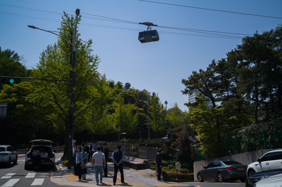 라이카 M11 남산 스냅