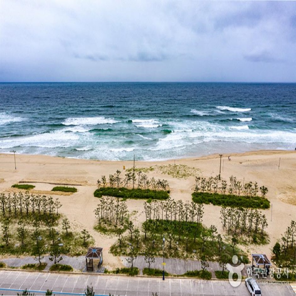동해 해수욕장 바로가기