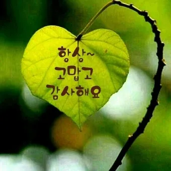 봄비 인사말 이미지 비오는날 일러스트_16