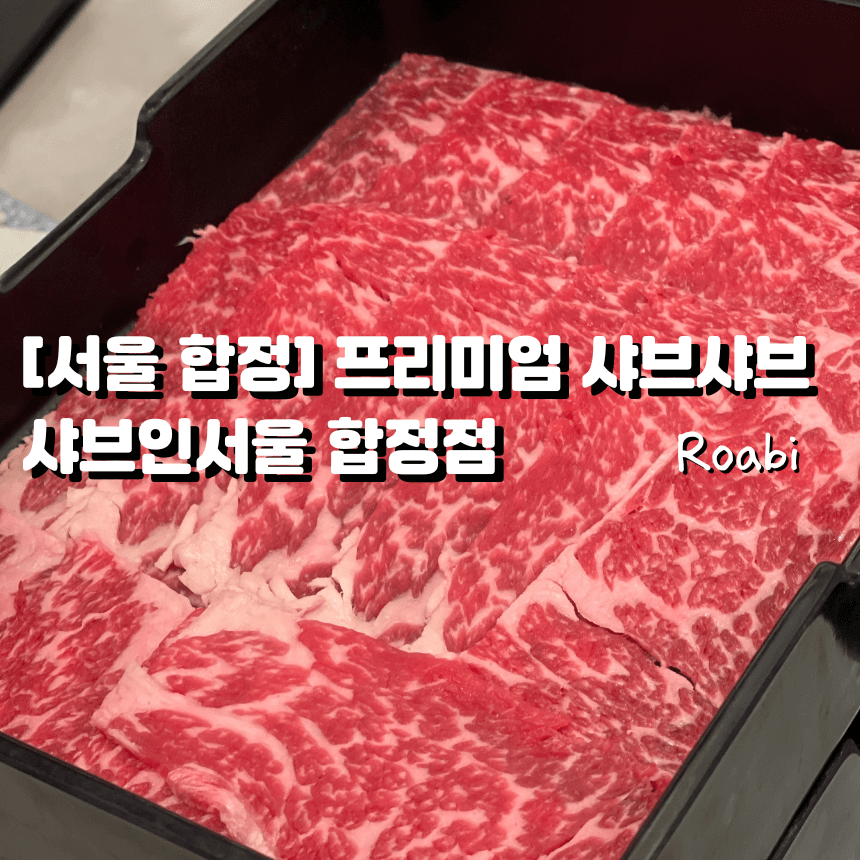 [샤브인서울 합정] 연예인도 반한 합정역 프리미엄 샤브샤브 맛집 솔직 후기