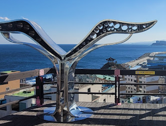 속초 가볼만한곳