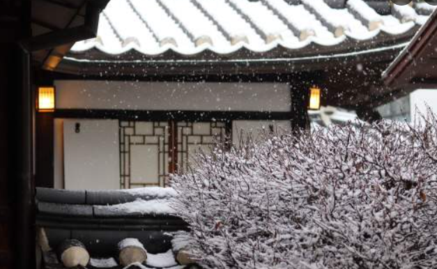 1월 서울 가볼만한곳 ❘ 국내 겨울 여행지 추천 ❘ 데이트 ❘ 가족 ❘ 실내 ❘ 당일치기 ❘ 무료 볼거리