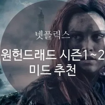 넷플릭스 순위 미드 추천 알아보기 드라마_10