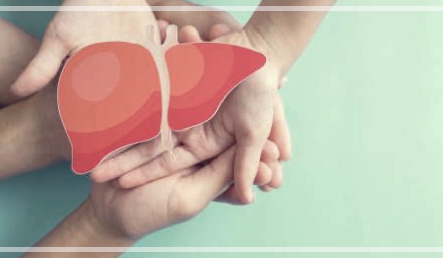 간이식 기증자 조건 간이식 조건 나이 검사 부작용 회복기간