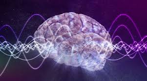 뇌 건강 영양제 기억력 이상 신호 늦기 전에 알아야할 것