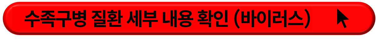 수족구병 증상 및 예방