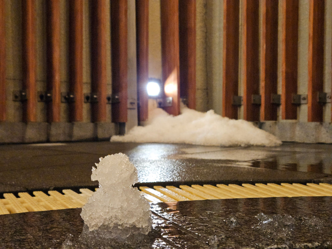 디아넥스 호텔 온천